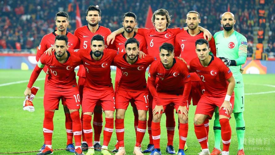 土耳其欧洲杯荣誉球员阵容（土耳其欧洲杯队员）