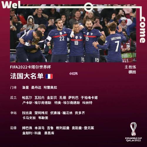 欧洲杯法国同组球员名单（欧洲杯法国球员介绍）